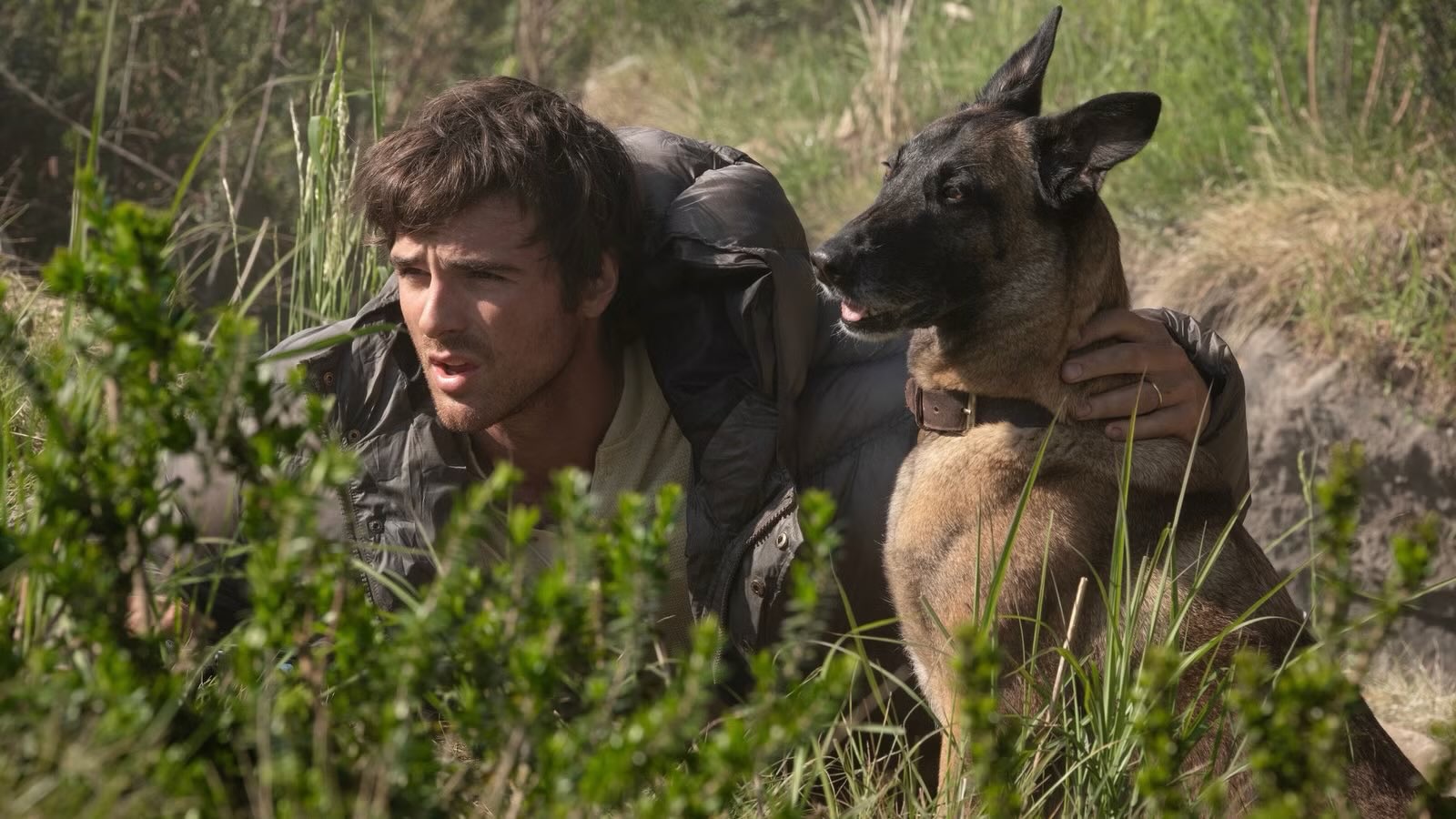 The Dog Stars Review – Wannabe Movie Critic